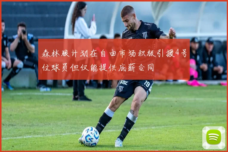 森林狼计划在自由市场积极引援4号位球员但仅能提供底薪合同